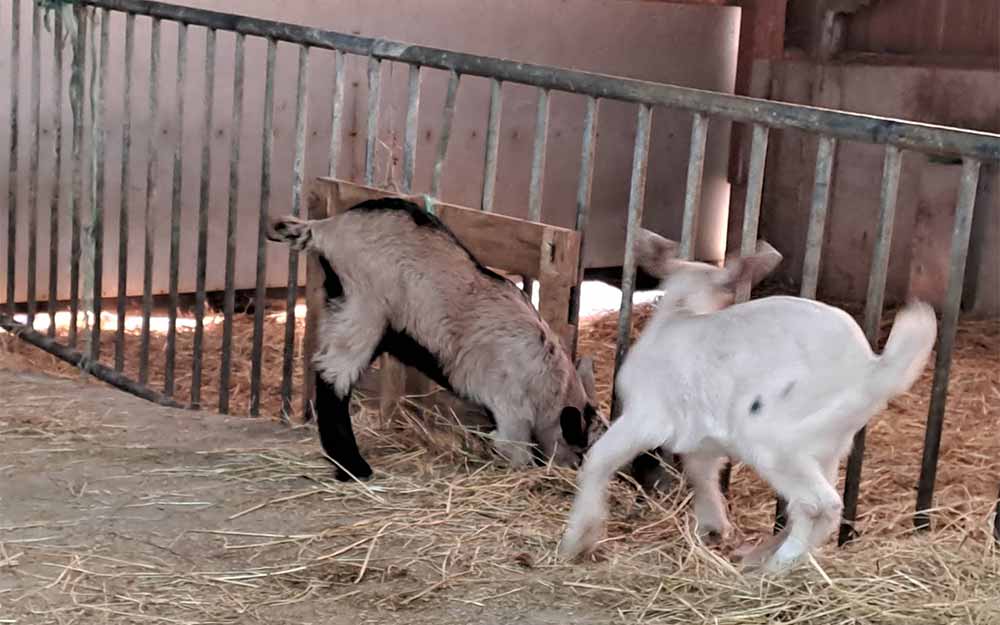 La ferme des Gorges de Villiers