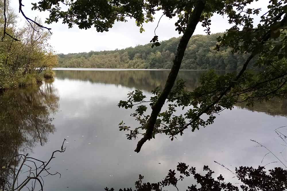La Forêt des Andaines