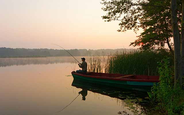 Pêche en Mayenne